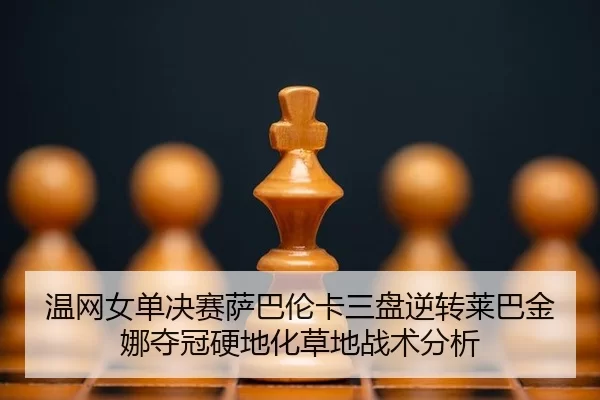 wen-wang-nv-dan-jue-sai-sa-ba-lun-ka-san-pan-ni-zhuan-lai-ba-jin-na-duo-guan-ying-di-hua-cao-di-zhan-shu-fen-xi-3-252.jpg